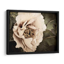 Golden Era Peony I - Rachel Perry | Cuadro decorativo de Canvas Lab