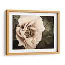 Golden Era Peony I - Rachel Perry | Cuadro decorativo de Canvas Lab