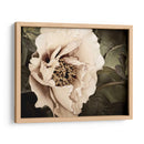 Golden Era Peony I - Rachel Perry | Cuadro decorativo de Canvas Lab