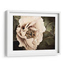 Golden Era Peony I - Rachel Perry | Cuadro decorativo de Canvas Lab