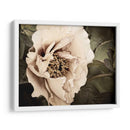 Golden Era Peony I - Rachel Perry | Cuadro decorativo de Canvas Lab