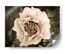 Golden Era Peony Ii - Rachel Perry | Cuadro decorativo de Canvas Lab