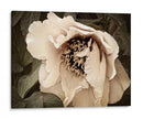 Golden Era Peony Iii - Rachel Perry | Cuadro decorativo de Canvas Lab