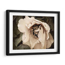 Golden Era Peony Iii - Rachel Perry | Cuadro decorativo de Canvas Lab