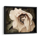 Golden Era Peony Iii - Rachel Perry | Cuadro decorativo de Canvas Lab