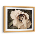 Golden Era Peony Iii - Rachel Perry | Cuadro decorativo de Canvas Lab