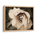 Golden Era Peony Iii - Rachel Perry | Cuadro decorativo de Canvas Lab