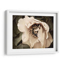 Golden Era Peony Iii - Rachel Perry | Cuadro decorativo de Canvas Lab