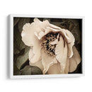 Golden Era Peony Iii - Rachel Perry | Cuadro decorativo de Canvas Lab