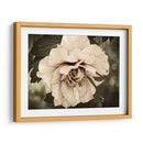 Golden Era Peony Iv - Rachel Perry | Cuadro decorativo de Canvas Lab