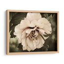 Golden Era Peony Iv - Rachel Perry | Cuadro decorativo de Canvas Lab