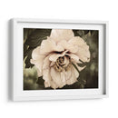 Golden Era Peony Iv - Rachel Perry | Cuadro decorativo de Canvas Lab