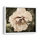 Golden Era Peony Iv - Rachel Perry | Cuadro decorativo de Canvas Lab