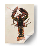Dweller De Mar I - Grace Popp | Cuadro decorativo de Canvas Lab