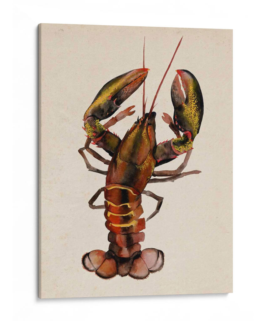 Dweller De Mar Ii - Grace Popp | Cuadro decorativo de Canvas Lab