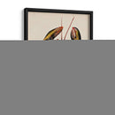 Dweller De Mar Ii - Grace Popp | Cuadro decorativo de Canvas Lab
