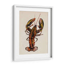 Dweller De Mar Ii - Grace Popp | Cuadro decorativo de Canvas Lab