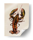 Dweller De Mar Ii - Grace Popp | Cuadro decorativo de Canvas Lab