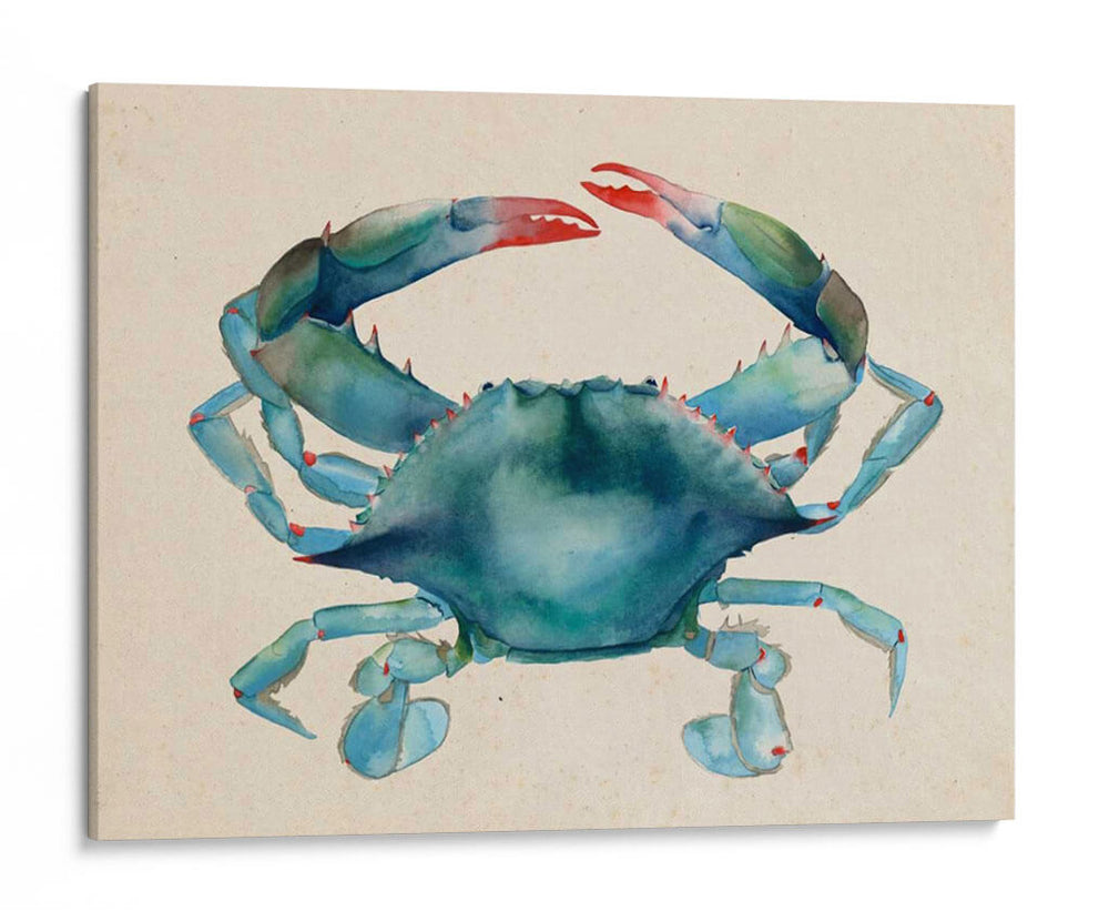Dweller De Mar Iii - Grace Popp | Cuadro decorativo de Canvas Lab