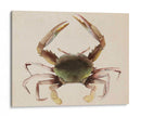 Dweller De Mar Iv - Grace Popp | Cuadro decorativo de Canvas Lab