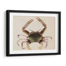 Dweller De Mar Iv - Grace Popp | Cuadro decorativo de Canvas Lab