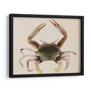 Dweller De Mar Iv - Grace Popp | Cuadro decorativo de Canvas Lab
