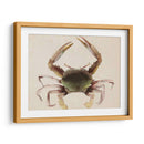 Dweller De Mar Iv - Grace Popp | Cuadro decorativo de Canvas Lab