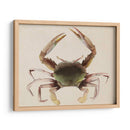 Dweller De Mar Iv - Grace Popp | Cuadro decorativo de Canvas Lab