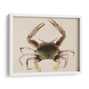 Dweller De Mar Iv - Grace Popp | Cuadro decorativo de Canvas Lab