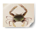Dweller De Mar Iv - Grace Popp | Cuadro decorativo de Canvas Lab