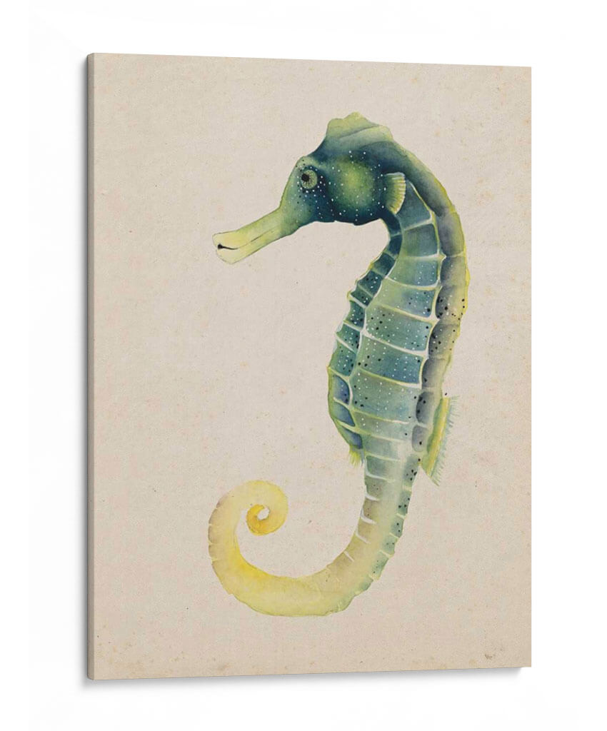 Habitante De Mar V - Grace Popp | Cuadro decorativo de Canvas Lab