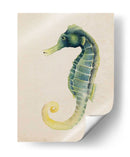 Habitante De Mar V - Grace Popp | Cuadro decorativo de Canvas Lab
