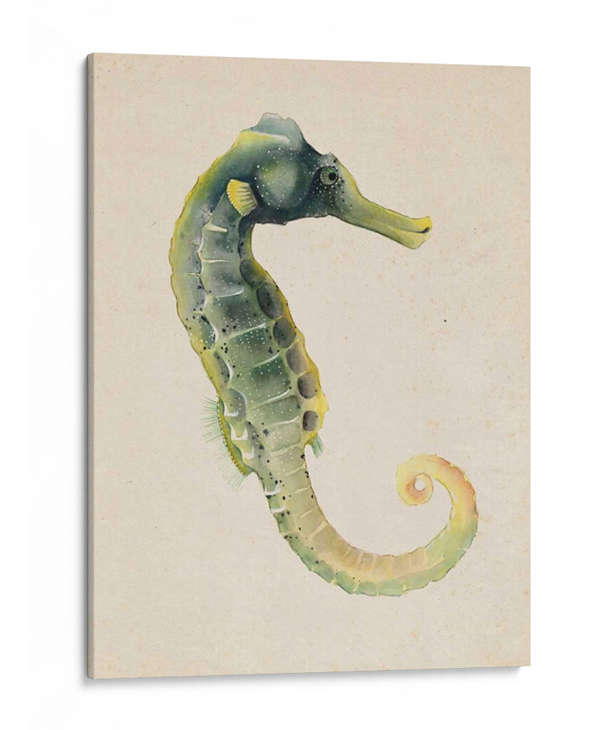 Dweller De Mar Vi - Grace Popp | Cuadro decorativo de Canvas Lab