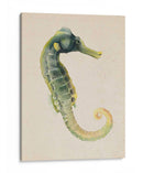 Dweller De Mar Vi - Grace Popp | Cuadro decorativo de Canvas Lab