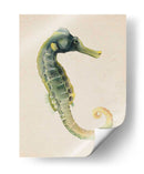 Dweller De Mar Vi - Grace Popp | Cuadro decorativo de Canvas Lab