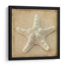 Sepia Shell I - Judy Stalus | Cuadro decorativo de Canvas Lab
