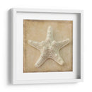 Sepia Shell I - Judy Stalus | Cuadro decorativo de Canvas Lab