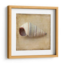 Sepia Shell Iv - Judy Stalus | Cuadro decorativo de Canvas Lab