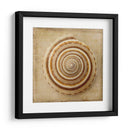 Sepia Shell V - Judy Stalus | Cuadro decorativo de Canvas Lab