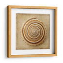 Sepia Shell V - Judy Stalus | Cuadro decorativo de Canvas Lab