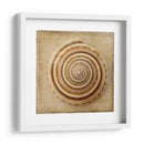 Sepia Shell V - Judy Stalus | Cuadro decorativo de Canvas Lab