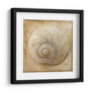 Sepia Shell Vi - Judy Stalus | Cuadro decorativo de Canvas Lab