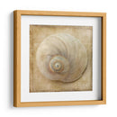 Sepia Shell Vi - Judy Stalus | Cuadro decorativo de Canvas Lab