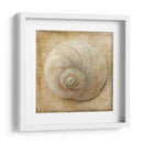Sepia Shell Vi - Judy Stalus | Cuadro decorativo de Canvas Lab
