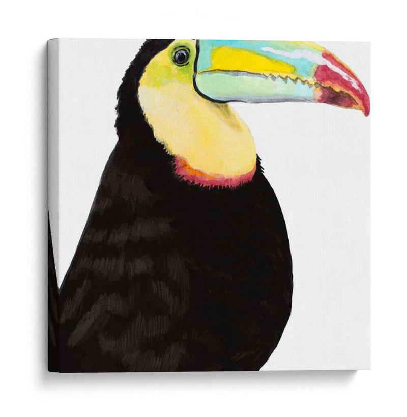 Acuarela Tucán - Naomi McCavitt | Cuadro decorativo de Canvas Lab
