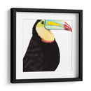 Acuarela Tucán - Naomi McCavitt | Cuadro decorativo de Canvas Lab