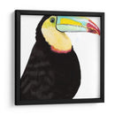 Acuarela Tucán - Naomi McCavitt | Cuadro decorativo de Canvas Lab