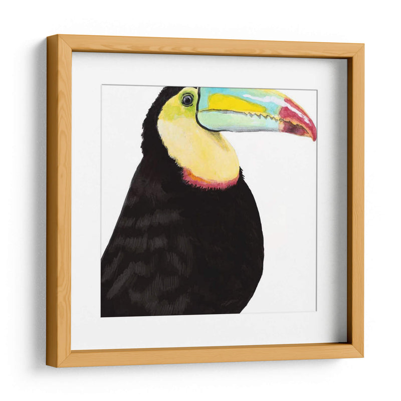 Acuarela Tucán - Naomi McCavitt | Cuadro decorativo de Canvas Lab