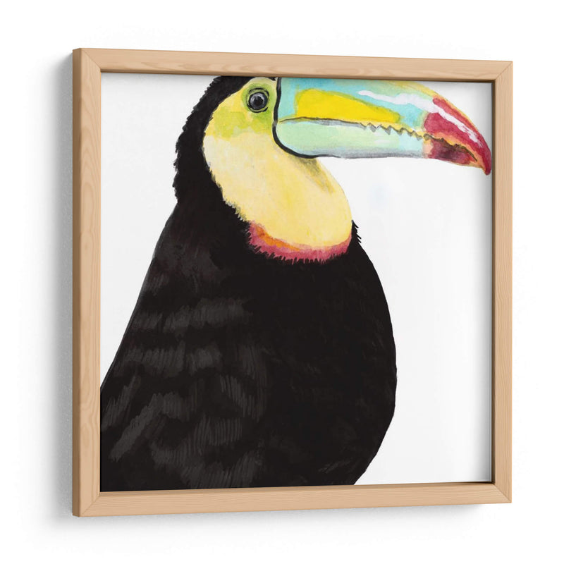 Acuarela Tucán - Naomi McCavitt | Cuadro decorativo de Canvas Lab