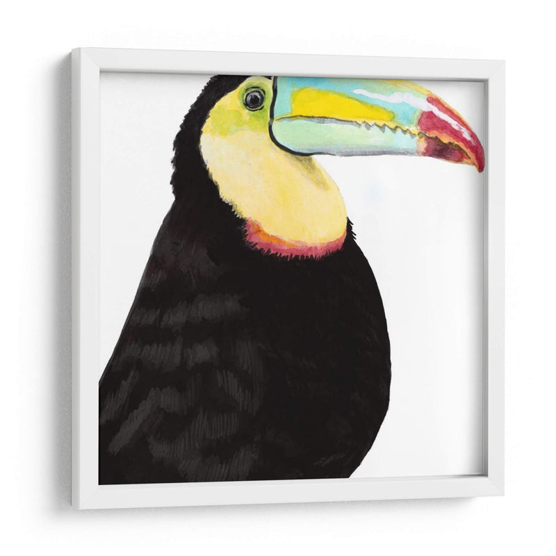 Acuarela Tucán - Naomi McCavitt | Cuadro decorativo de Canvas Lab